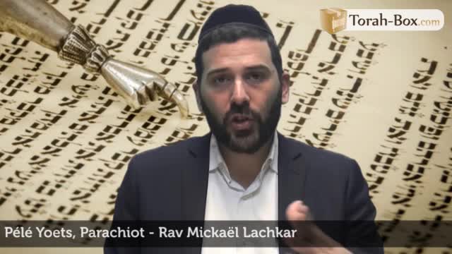 Parachiot - sections hebdomadaires