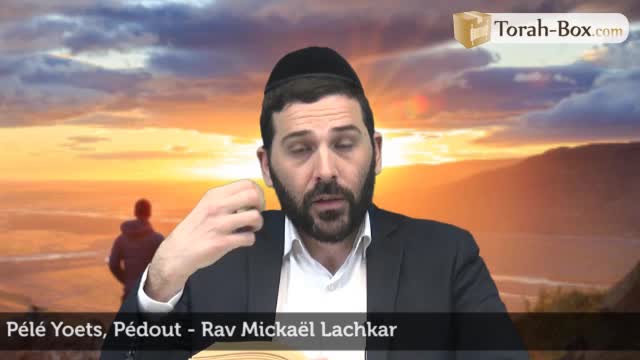 Pédout - affranchissement