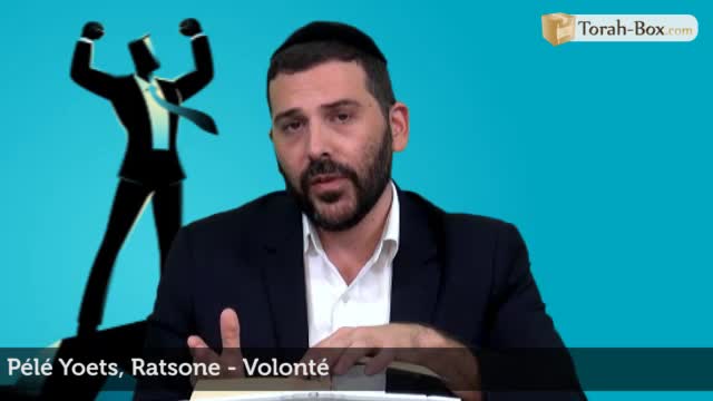 Ratsone - Volonté