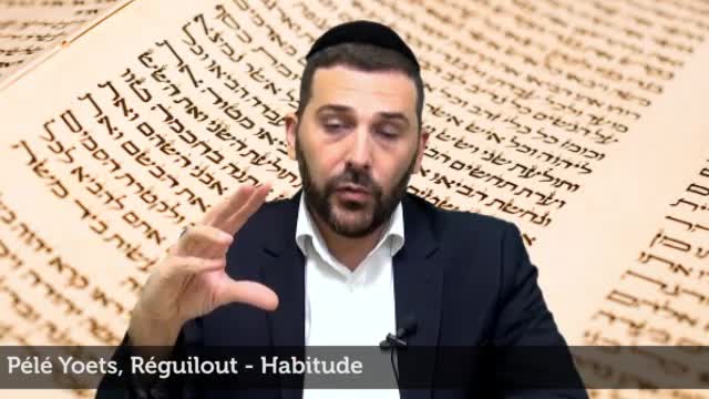 Reguilout - Habitude