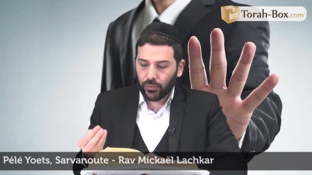 Sarvanout - Insubordination