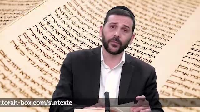 Talmidé 'Hakhamim - Erudits