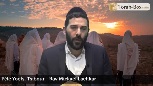 Tsibour - La Communauté